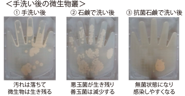 手洗い後の微生物叢