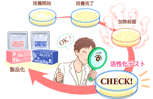 製品化までに乳酸菌の活性テストを行なっています！