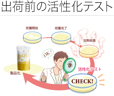出荷前の活性化テスト
