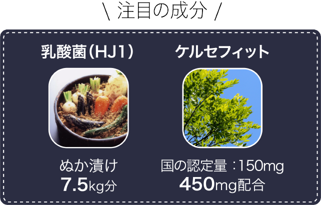 注目の成分