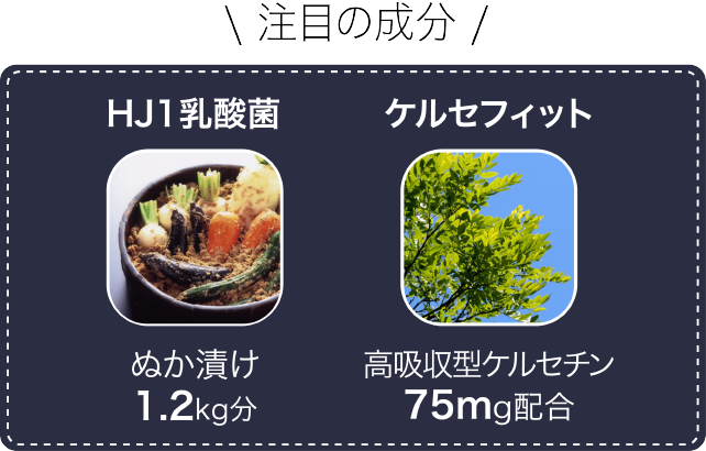 注目の成分