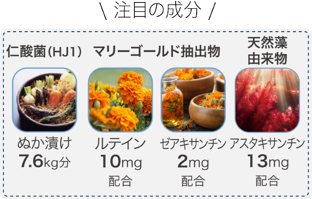 注目の成分