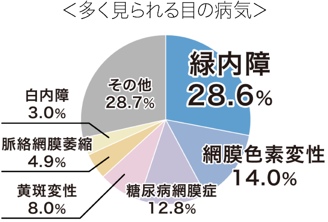年齢を重ねると骨は減る