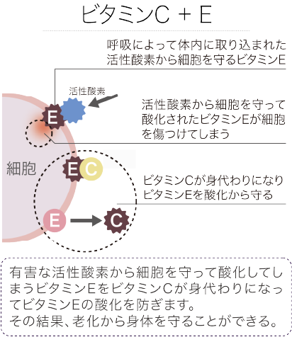 ビタミンC＋E