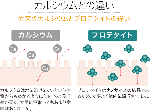 カルシウムとの違い