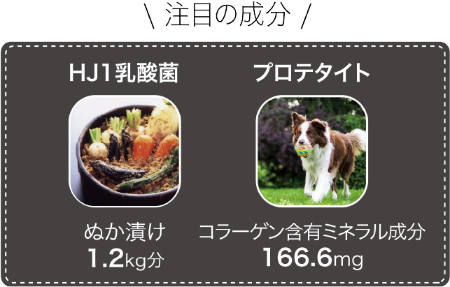 注目の成分