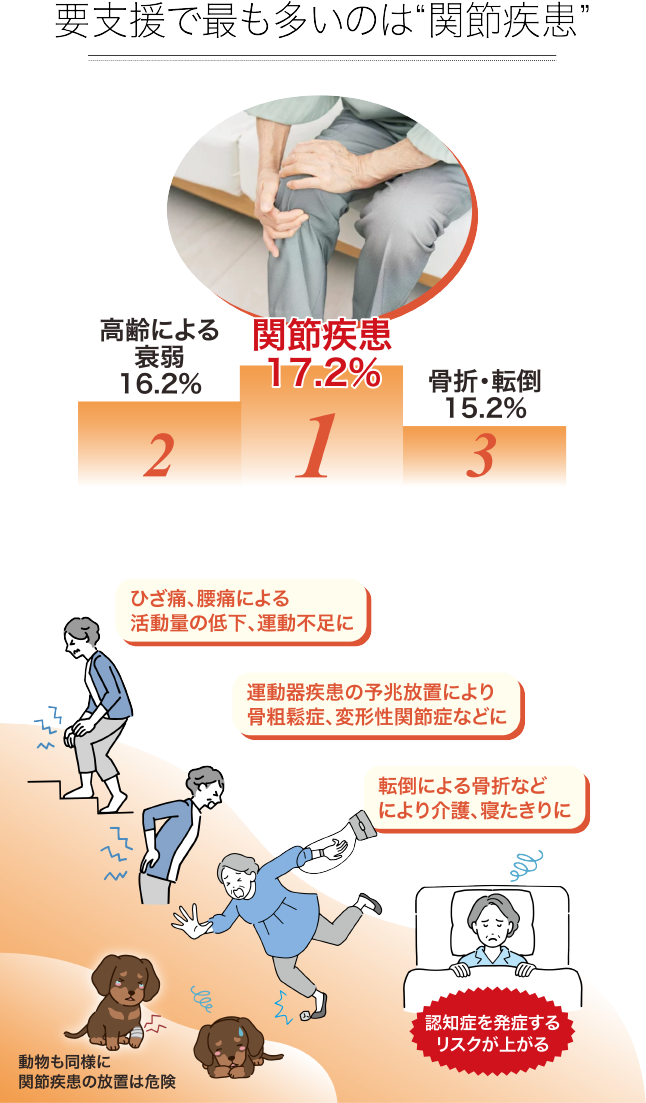 要支援で最も多いのは関節疾患