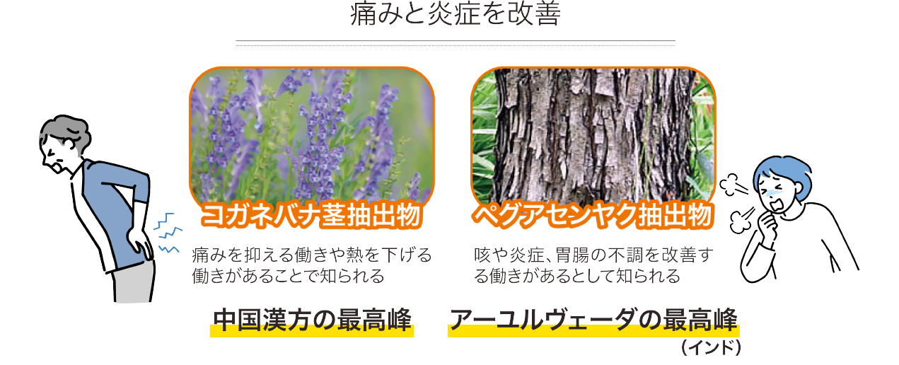 痛みと炎症を改善