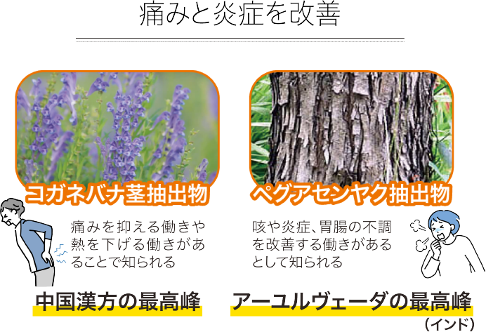 痛みと炎症を改善