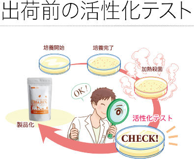 出荷前の活性化テスト