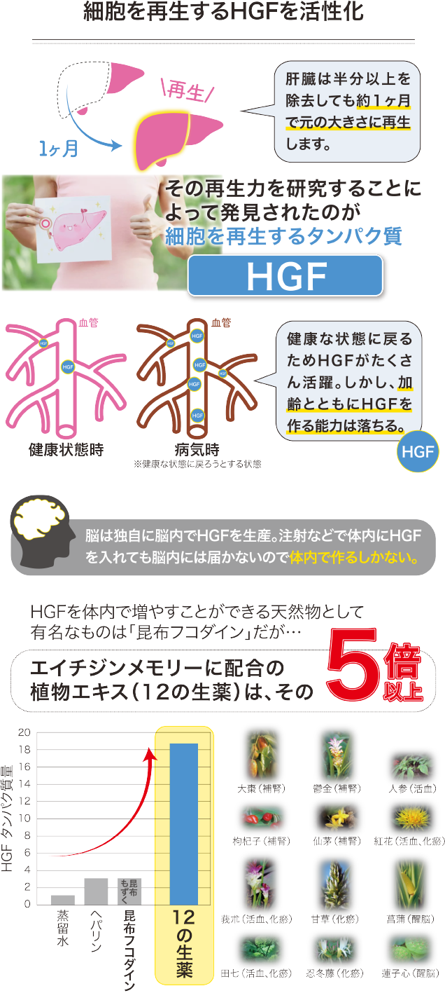 細胞を再生するHGFを活性化
