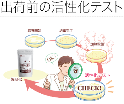 出荷前の活性化テスト